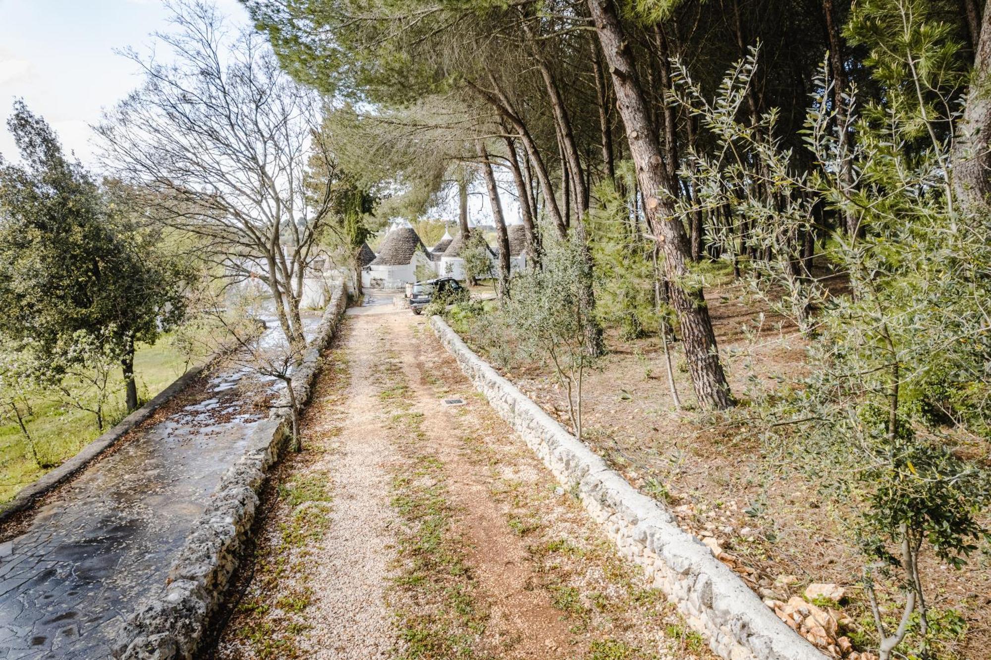 Ad Un Passo Da Cisternino - Trulli Con Foresta, Bici E Barbecue צ'יסטרנינו מראה חיצוני תמונה